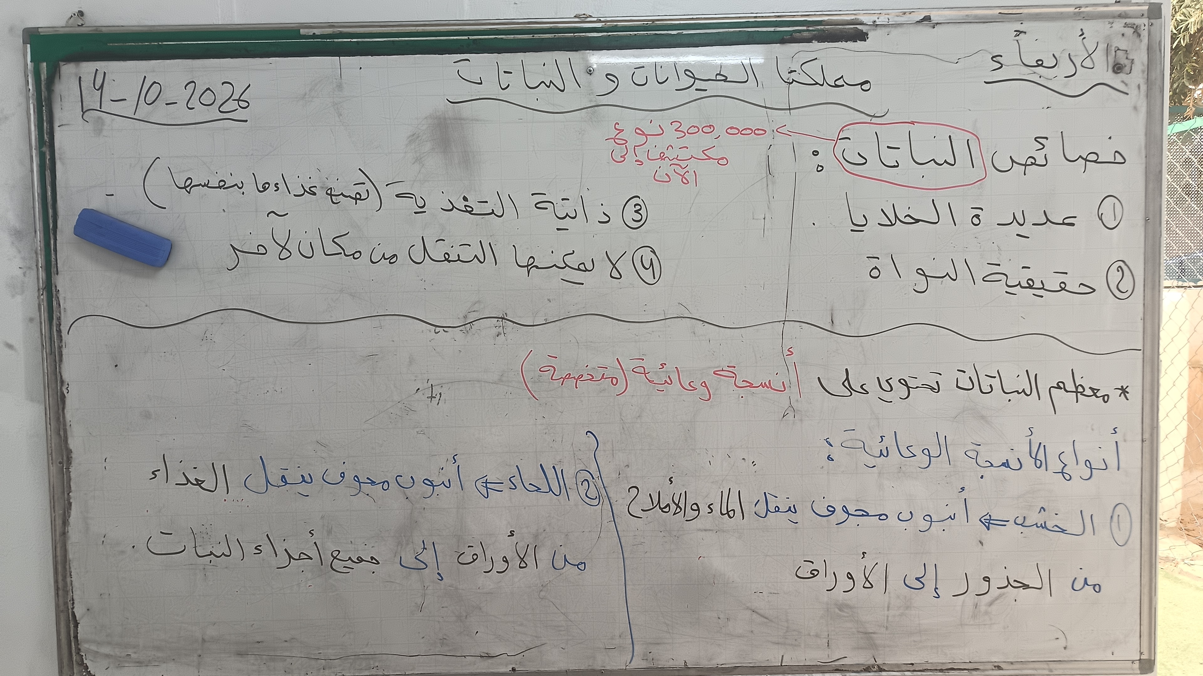 صورة اللوح: خصائص النباتات والأنسجة الوعائية