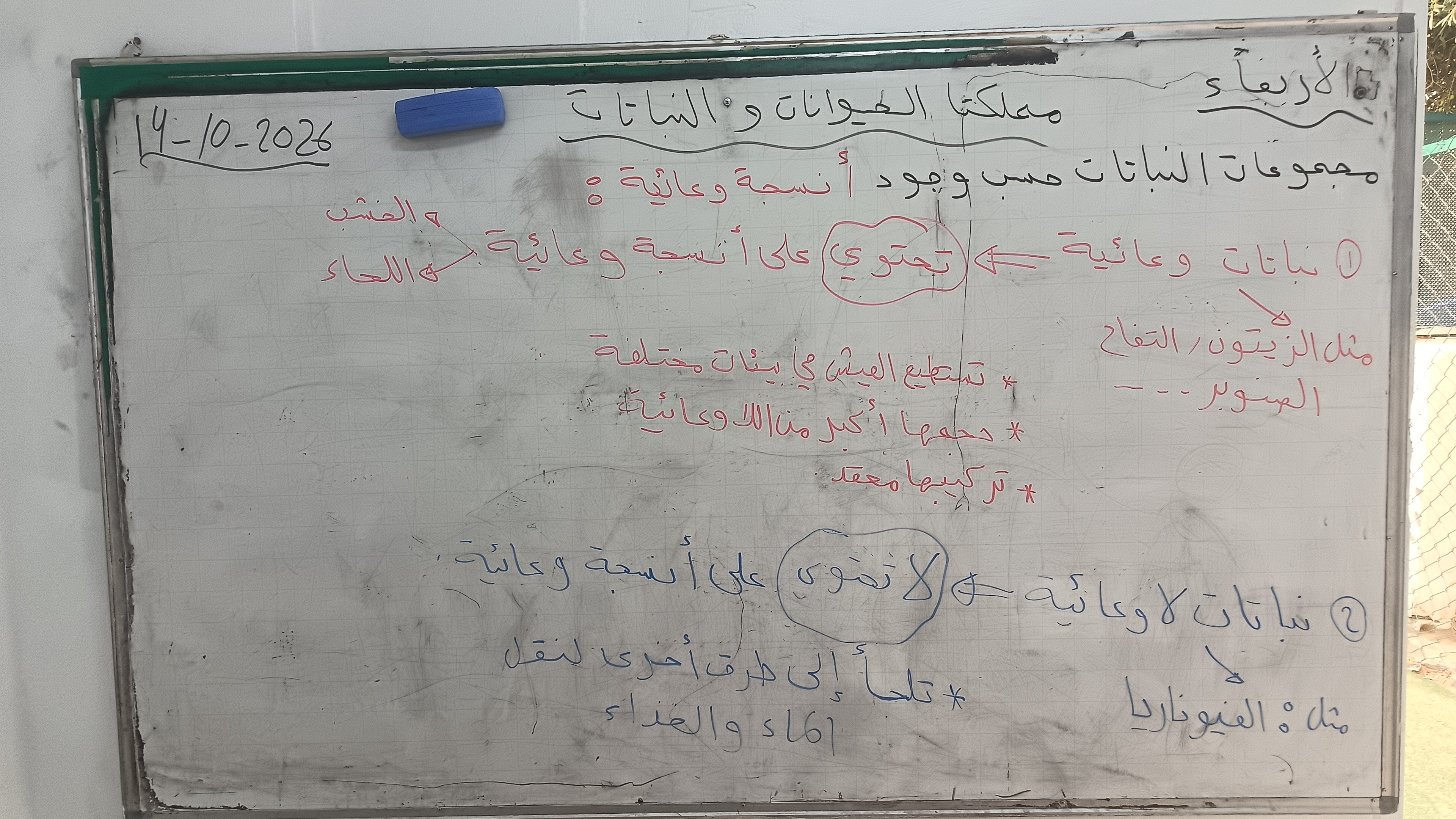 صورة اللوح: مجموعات النباتات